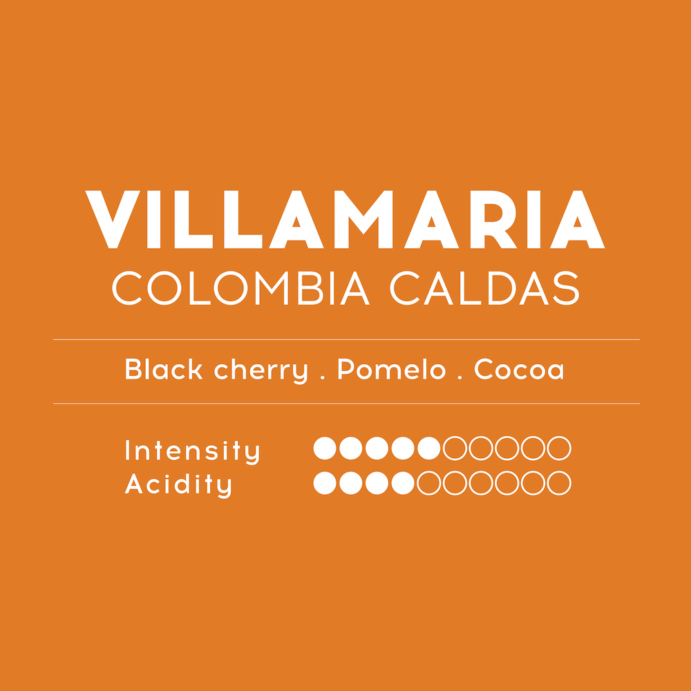 Coffee Capsules (for Nespresso) - Villamaria